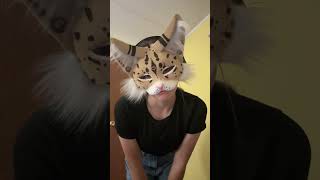 New mask!! Meet Dune the ocelot!! #art #maskmaker #painter #furry #christian #fyfyi シ゚viral