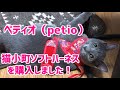 ペティオ 猫小町ソフトハーネスを購入しました。可愛い姿もどうぞ♡