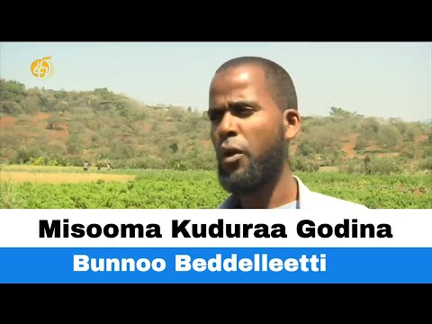 Misooma Kuduraa Godina Bunnoo Beddelleetti