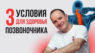 3 условия здоровья позвоночника