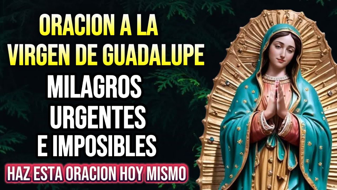 Oración a la Virgen de Guadalupe para pedir su protección y bendiciones ...