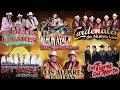 Los Tigres del Norte, Lalo Mora, Cardenales De Nuevo Leon, Los Invasores De Nuevo Leon, Ramon Ayala