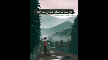 قرآن كريم بصوت الشيخ مشاري راشد العفاسي || سورة البقرة || حالات واتس آب دينية