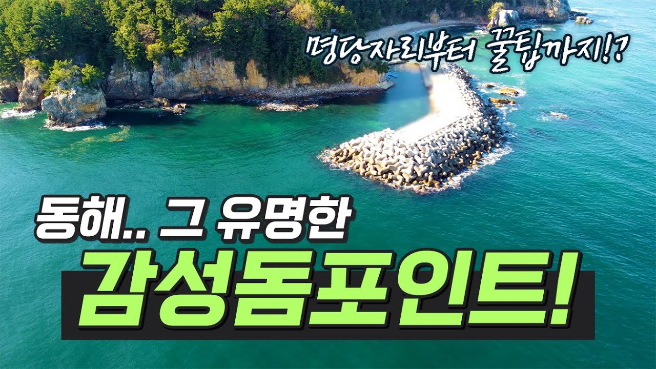 동해 한섬방파제 총 정리! 이 영상 하나면 끝~ (feat.. 감성돔, 학꽁치, 고등어, 삼치)