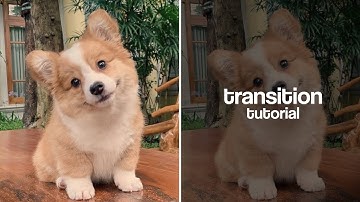 2 EASY transitions for beginners !!! [ alight motion ]