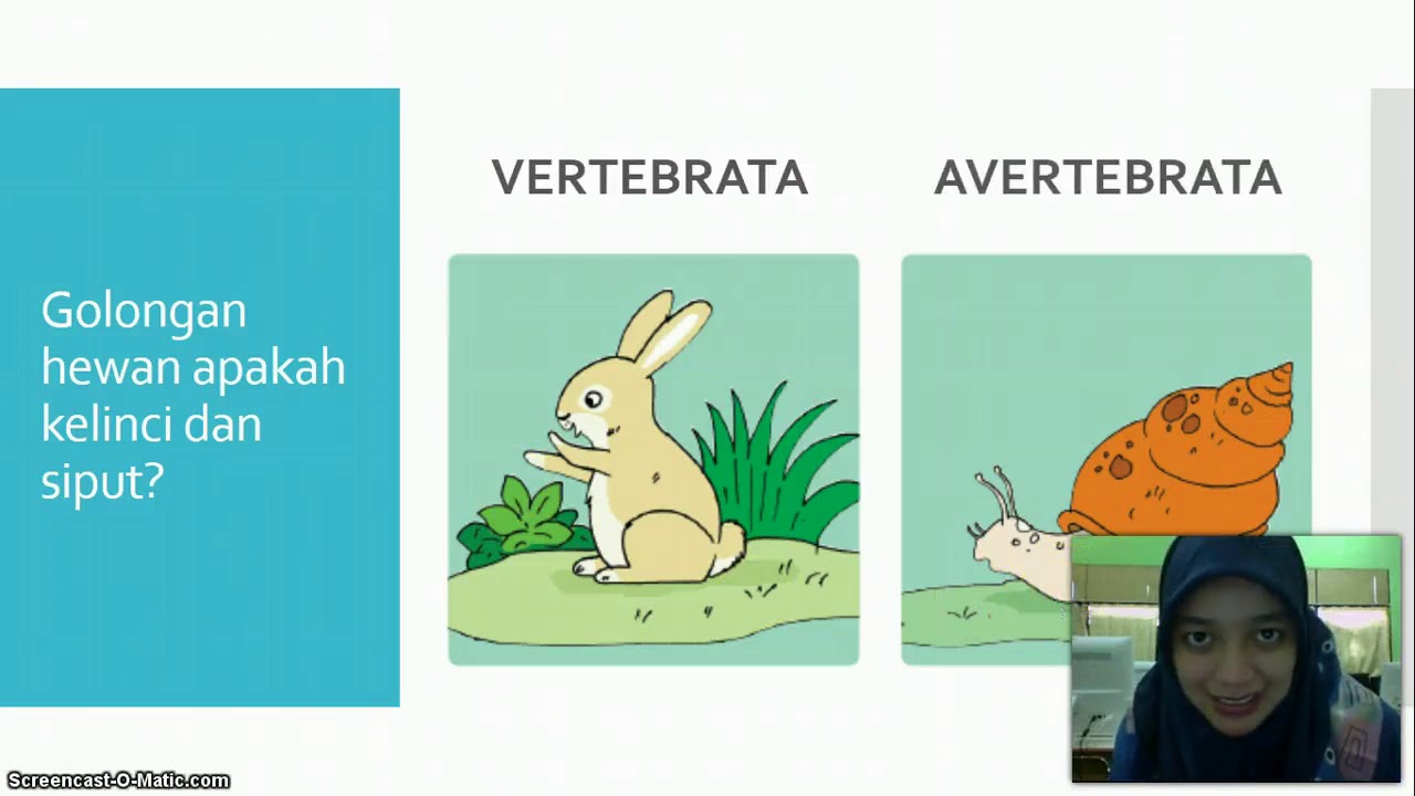 Materi Kelas 5  Hewan  Vertebrata dan Avertebrata  dengan 