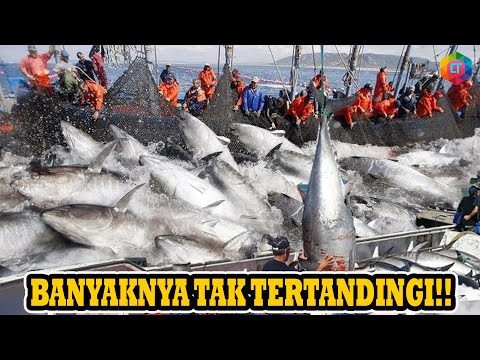 Ikan Dari Berbagai Negara
