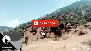 Çeltikli Kuş Bakışı