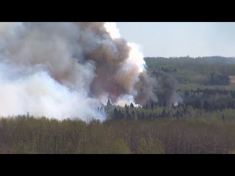 Wildfires in Alberta | Firefighter in coma after being struck by falling tree