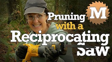 Pruning with a Reciprocating Saw