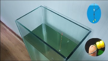 Kinh nghiệm câu đài cơ bản - Cách cân phao câu cá chép bằng ngô hạt (cân 6 câu 2 )