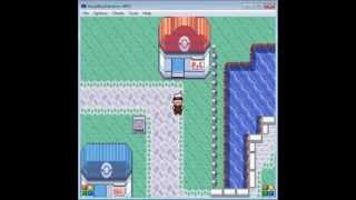 Hyper Potion Pokemon ruby cheat