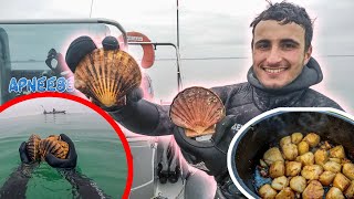 1ère Pêche de 2023 : Les Coquilles St-Jacques ! Pêcher-Cuisiner-Manger !