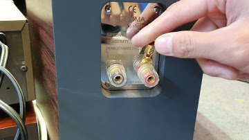 Đánh Giá Sự Tiếp Xúc Giữa Giắc Cắm Loa: Bắp Chuối, Mỏ Chim, Càng Cua