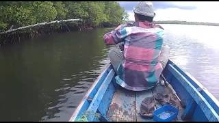 Mancing Mahal? Lebih Mahal Lagi Cnr Mba, Sist, Tan