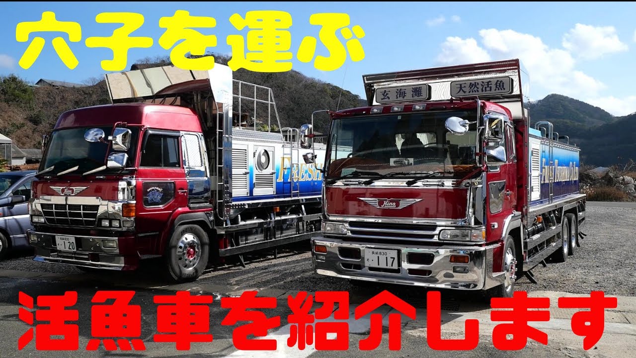 穴子を運ぶ活魚車を紹介いたします - YouTube