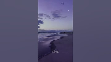 ما تيسر من القرآن الكريم♡