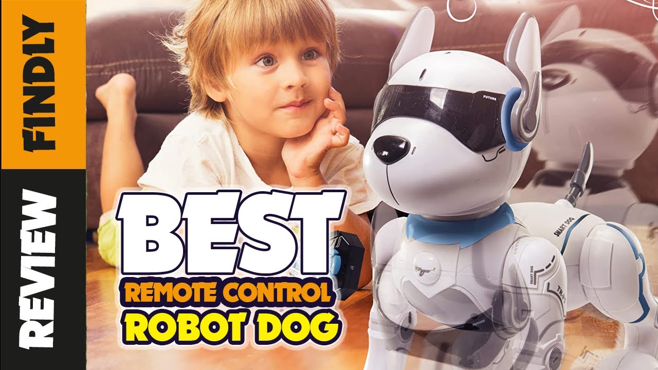 Smart Robot Dog Toy Programmable Remote Control Puppy – TheToddly