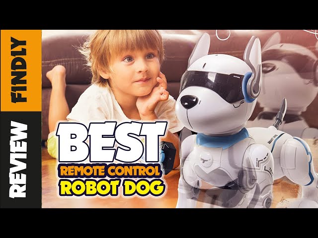 Smart Robot Dog Toy Programmable Remote Control Puppy – TheToddly