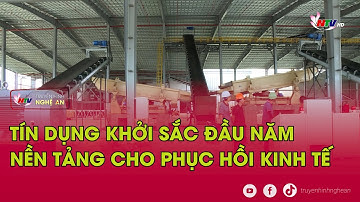 Tín dụng khởi sắc đầu năm tạo nền tảng cho phục hồi kinh tế