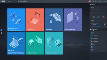 DSS V8 - Cómo usar el Centro de Monitoreo