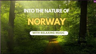 Beautiful Nature of Norway with a 3-hour relaxing video! by Tourism Zone 139 views 1 year ago 2 hours, 59 minutes