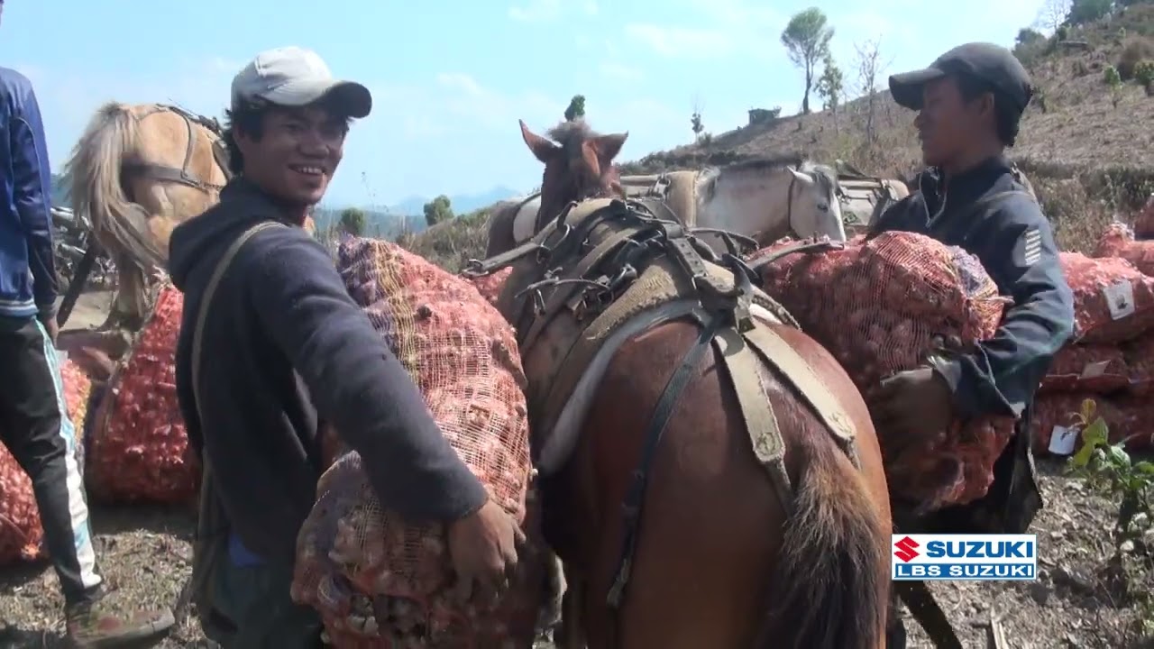 Sawhthing Kg ah 54 in Hliappui khua ten Tender hmangin  an ti ral thei