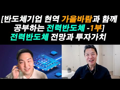   반도체기업 현직자 가을바람과 함께 공부하는 전력반도체 전력반도체 전망과 투자가치 전력반도체 최고의 기업은 온세미컨덕터주식 ST마이크로주식 울프스피드주식 인피니언주식