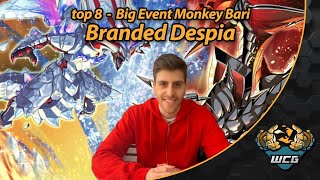 top 8 Big Event Monkeycards 2024 - Branded Despia!