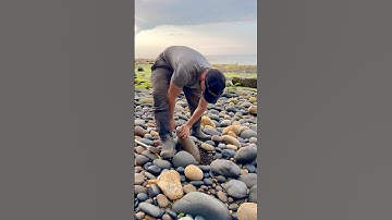 We found a Jurassic Age limestone rock and opened it, in the search for more fossils! 🤯