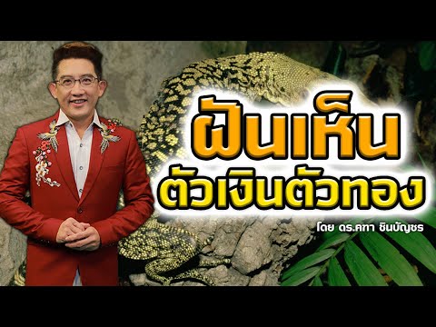 #ทำนายฝัน ฝันเห็นตัวเงินตัวทอง l ดร.คฑา ชินบัญชร