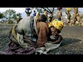 VIDEO UTABONYE AMARASO Y'IBIHUMBI BY'ABATUTSI BYARISHWE MURI 94 KILIZIYA N'INTERAHAMWE
