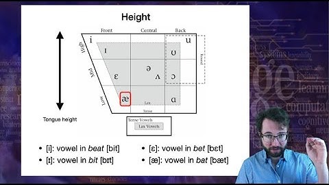 Introduction to Linguistics: Phonetics 2