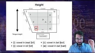 Introduction to Linguistics: Phonetics 2 by Language Science 16,849 views 2 years ago 46 minutes