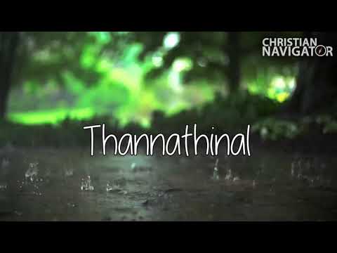 nee ente sarvavum lyrics in english