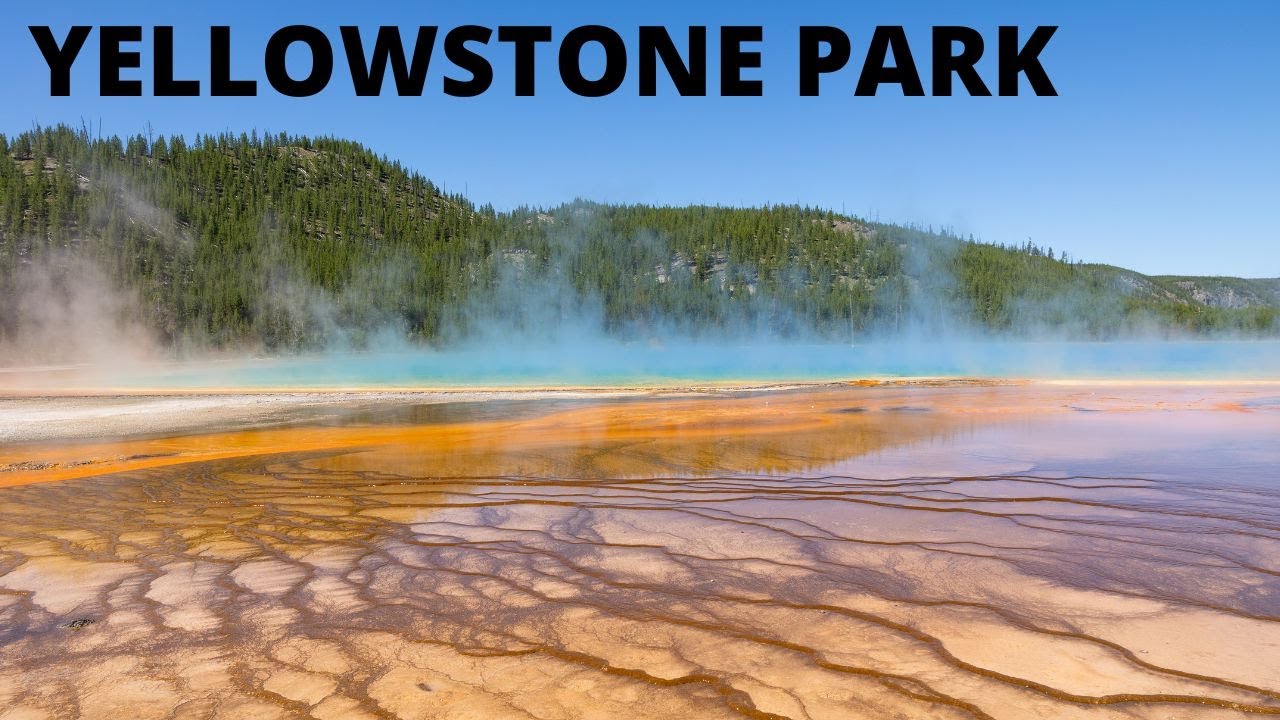 Yellowstone National Park Drive PART 2 Real Time Scenic Photos close up with Buffalo/Bison