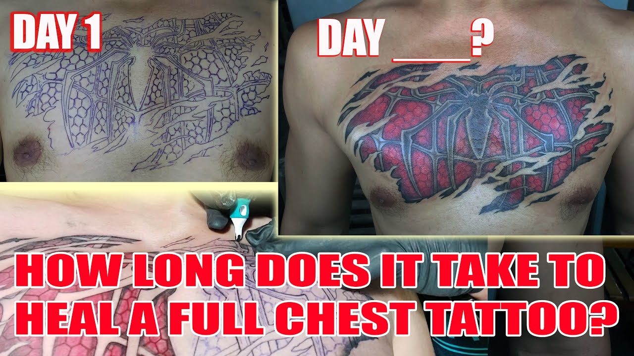 How Long Does it Take for Full Chest Tattoo to Heal? How to Heal Faster ...