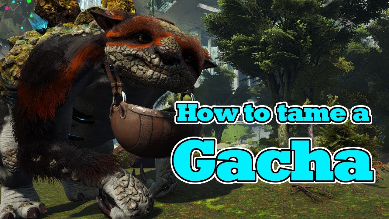 HOW TO TAME A GACHA★ARK Survival Evolved Extinction★ YouTube