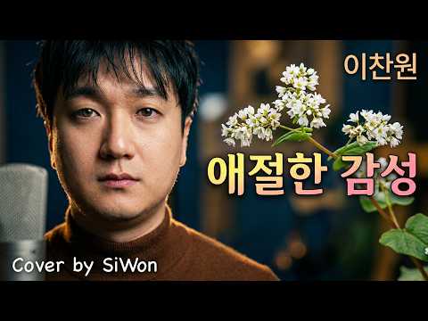 메밀꽃 필 무렵  - 이찬원 | 이찬원 명곡 시리즈 7 🎤 cover by siwon