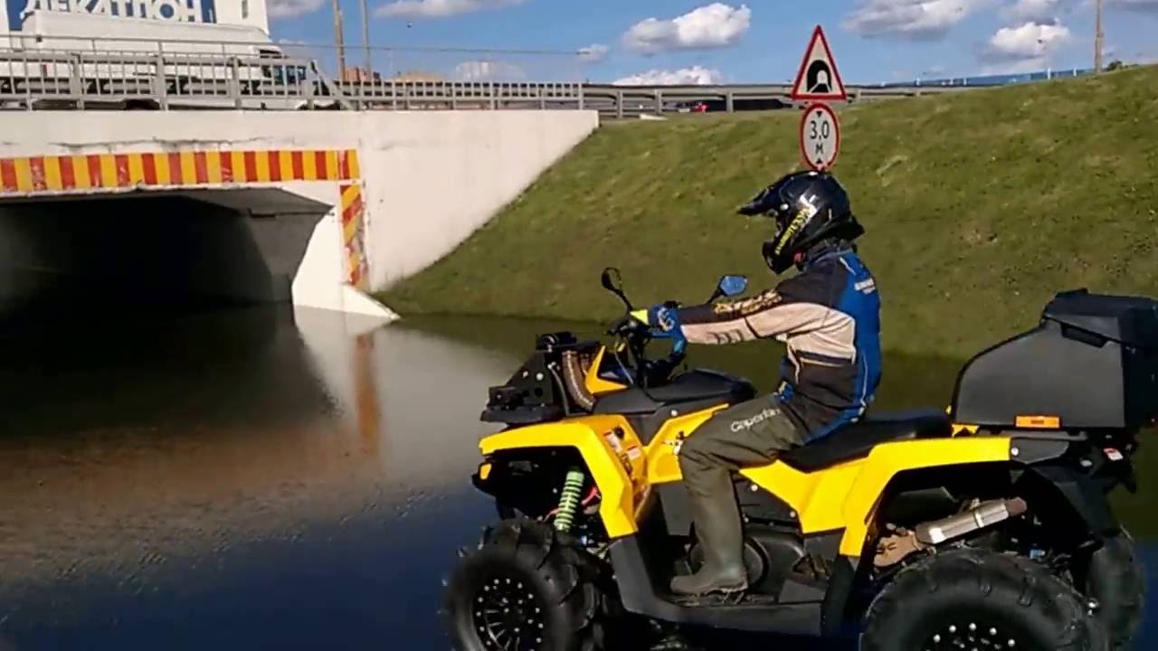 СТЕЛС ГЕПАРД ПЛАВАЕТ В МЕГЕ Белая дача!!! - YouTube