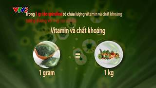 [Phim Khoa Học] - Giới thiệu Tảo Mặt Trời