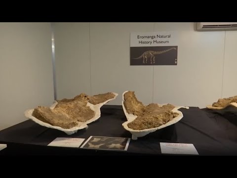 Wideo: Archeolodzy Odkryli W Australii Nowy Gatunek Gigantycznych Dinozaurów Roślinożernych - Alternatywny Widok