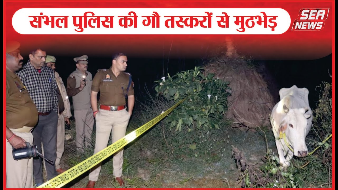 संभल पुलिस की गौ तस्करों से मुठभेड़ | Sambhal district | Junawai police station | Cow smugglers