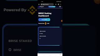 This Crypto Staking will be the most profitable stake || Bitgert Brise Stake | How to Stake Bitgert