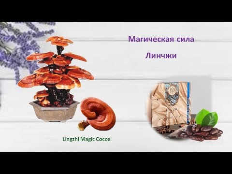 Video: Lingzhi Gljiva - Eliksir Dugovječnosti