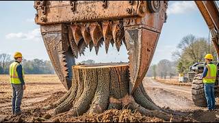 Dangerous Tree Felling, Powerful Forestry Machines & Extreme Logging Skills | Timber Technology