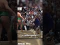 Полез не в свою степь 😕#japan #япония #юмор #sumo #mma #sports #ufc #спорт #wwe #сумо #fight
