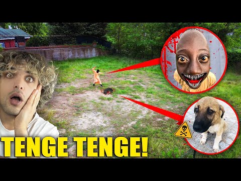 KÖPEK KATİLİ TENGE TENGE GÜVENLİK KAMERALARINA YAKALANDI !! 😱 - Mert Yazar