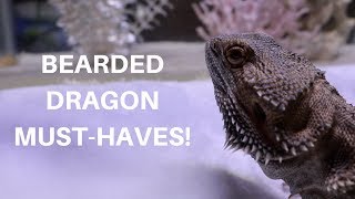 BEARDED DRAGON MUST HAVES | he's back...