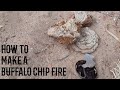 How to Make a Buffalo Chip Fire